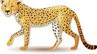 Les origines du royaume du Danxomè